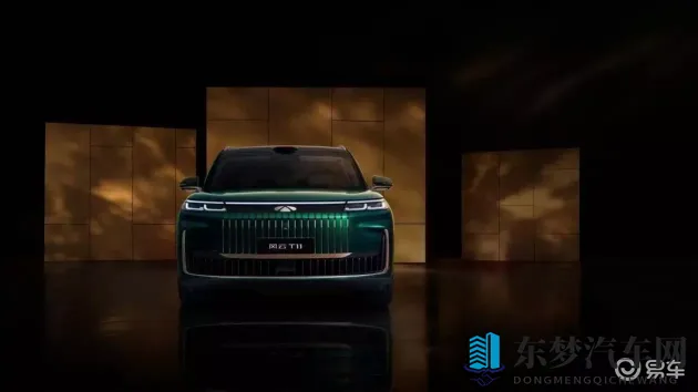 黑暗蘑菇17c：新能源汽车新星：独特设计引领潮流-1