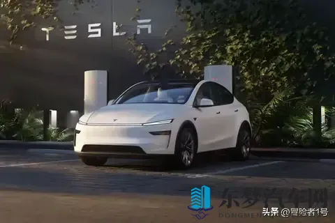 特斯拉Model Y_Y L终极选购！4版差异+避坑，看完不踩雷！-1