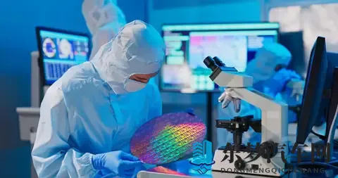 荷兰“认输”归还安世还不够，必须严惩荷兰安世高层-1