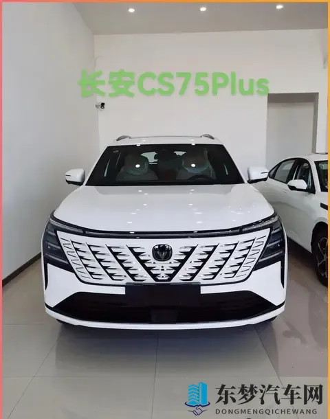 6款即将上市的”，中年大叔的“心头好”，看看有没有你喜欢的？-2