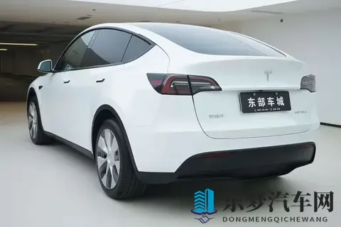 17万多拿下特斯拉Model Y，体验智能出行的魅力