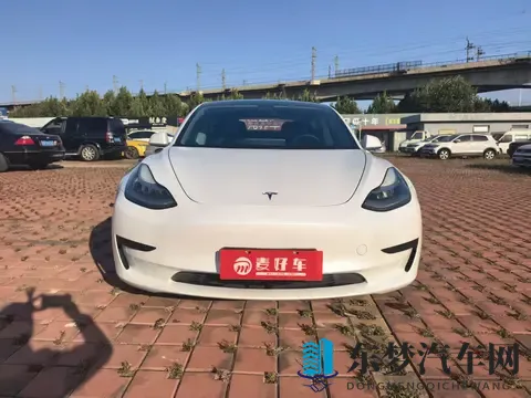 好看的2019年中文：2019年精选中文佳作推荐