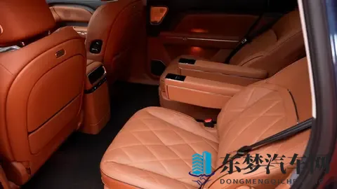 岚图泰山静态体验,都有哪些亮点?-3