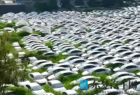 倒闭车企的烂尾车成为年轻人的香饽饽！14 万买 23 万配置，赌赢了？-2