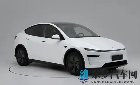 特斯拉Model Y长续航后驱版上市，821公里续航售价2885万起-2