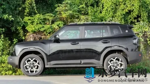 硬核混动SUV登场！捷途山海T1双电机四驱版亮相-1