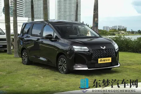 10万级MPV新标杆！星光730空间大、动力强，家用真香！-2