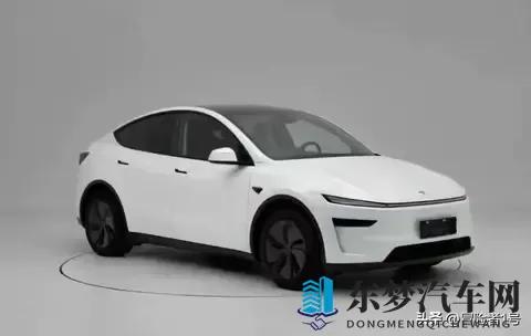 特斯拉Model Y_Y L终极选购！4版差异+避坑，看完不踩雷！-2