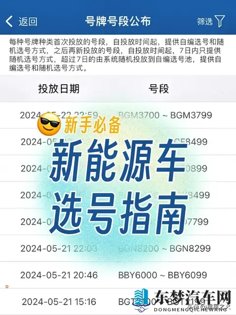 特斯拉新车主选号指南 🈯️ 新手必备-1