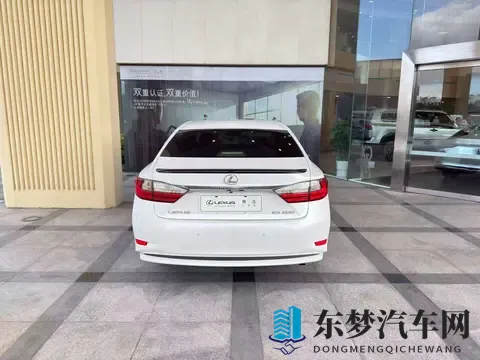 十年雷克萨斯ES，10万公里，12万多带回家！