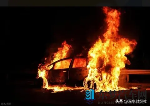 电车保费比油车贵3成?背后真相终于说透了-1