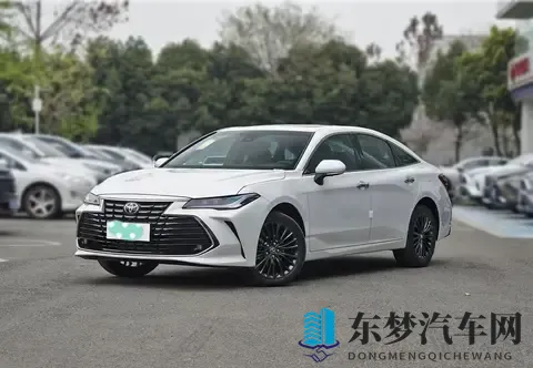 亚洲龙混动过保后咋样车主说电池管够用到烂大街-2