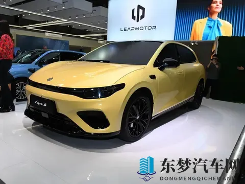 农村妇女三级:农村妇女购车指南:满足生活需求,选对车型-2