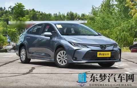 2025款卡罗拉选购深评：6款配置该如何挑选？-2