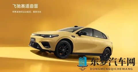 从卖不动的冷门车到月销七万, 双门轿跑竟是零跑的执念与翅膀-2