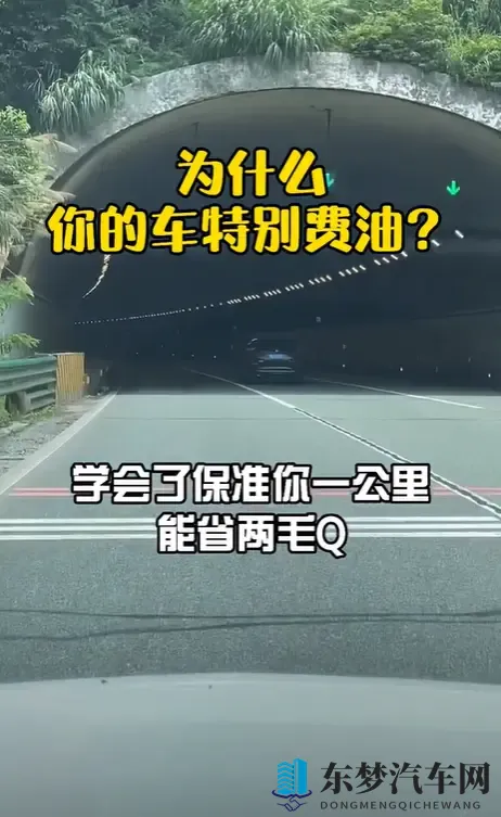 性欧美共享绿帽子Vⅰeos：汽车共享新潮流，绿色出行引领变革-3