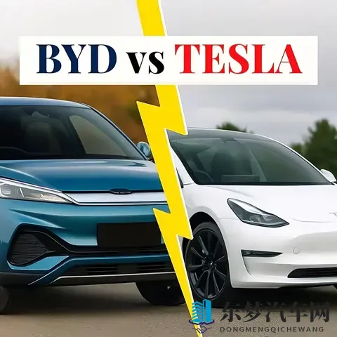 比亚迪与特斯拉：“规模王者”与“科技标杆”的对决”-1