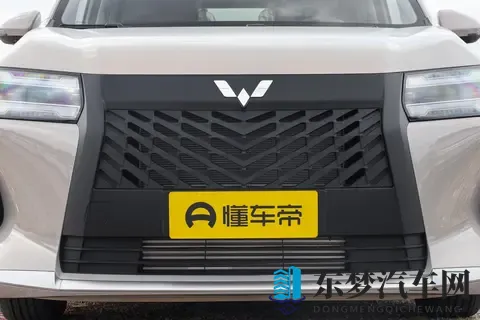 预算有限，追求空间实用与性价比？这款MPV值得一看！