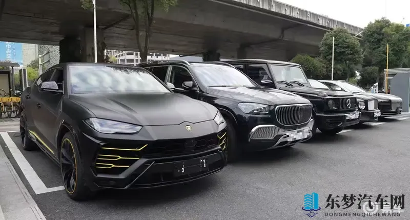 豪车车主挤爆岚图店！泰山引土豪竞折腰-1