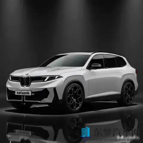 宝马X5要上氢燃料，是真创新还是瞎折腾？-3