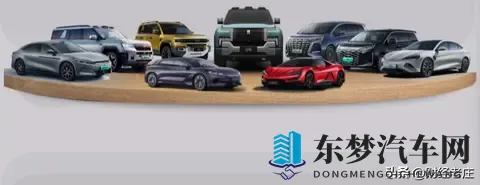 看懂比亚迪10月份各车型销量，才明白什么是真正的遥遥领先-3