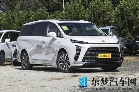 别克GL8：推出5款车型，入门级就有双侧电动门，值得考虑吗？-3