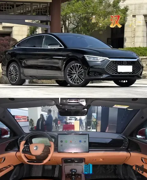 天天干天天日:新能源汽车爆发式增长,政策助力市场腾飞-3