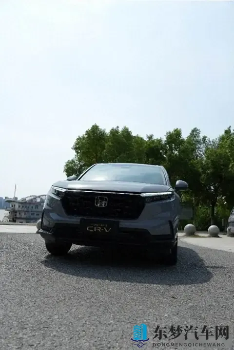 84pao强力打造永久免费高速高清：84pao打造永速免流高清体验-1