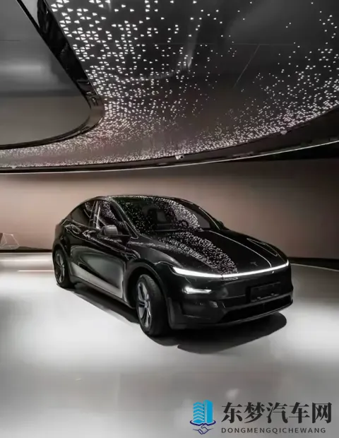 特斯拉Model Y长续航后驱版上市！2885万起，续航达821公里-3