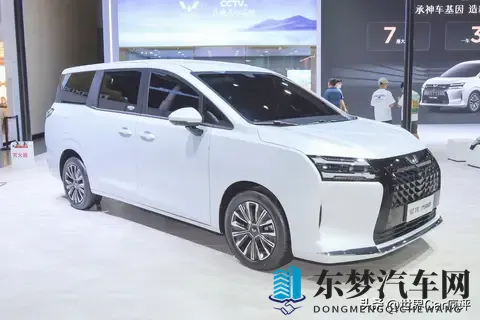 五菱推出一款全新MPV,1068万起,车长超49米,续航超1100km!-1