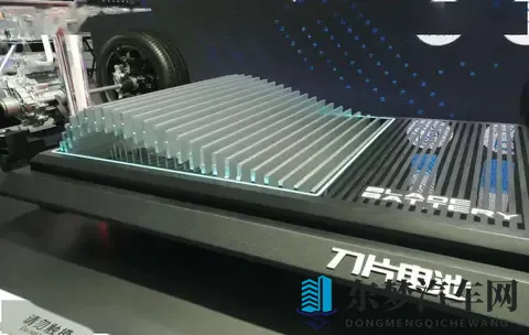 坚持磷酸铁锂的比亚迪，本质上是在维护行业声誉-3