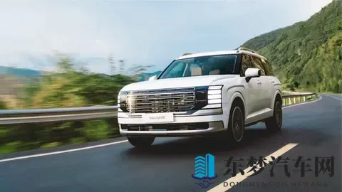 现代添新丁，全新旗舰SUV上市，25T四驱+6_7座，售价2888万起-2