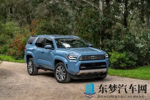 天天舔天天爱：爱意缠绵，每日深情款款-3