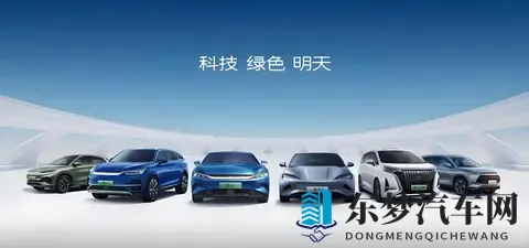 福建大菠萝：独特设计，高性价比！汽车新宠来袭-3