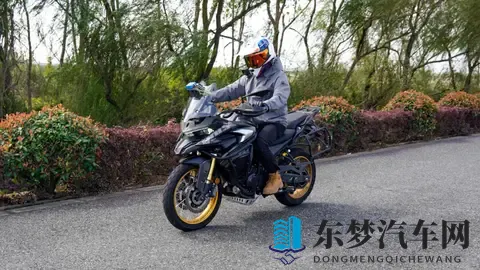 超低震动，非铺装路出色—无极DS625X动态测评