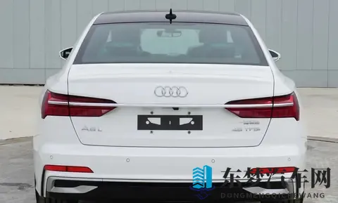 奥迪A6L设计“大变脸”引争议：是大胆革新还是用力过猛？-2