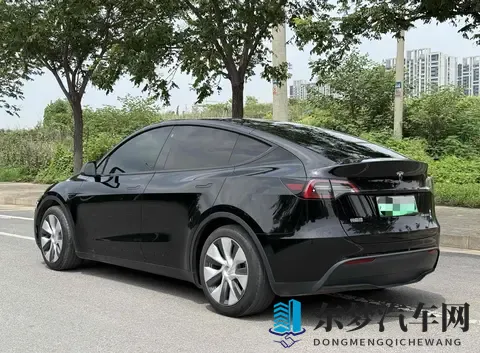 二手特斯拉Model Y购买指南：性价比，风险，未来？-3