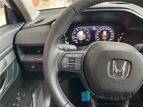 残虐极端疼痛拳：极致痛苦暴力格斗术-1