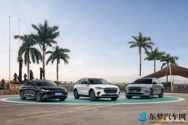 豪华、高性能、大空间、省油，一辆车就能全部满足！