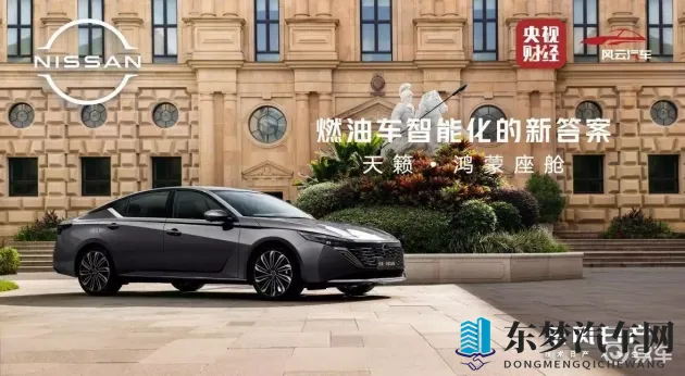 男同色情网站:“揭秘非法网站,行业监管引关注”-2