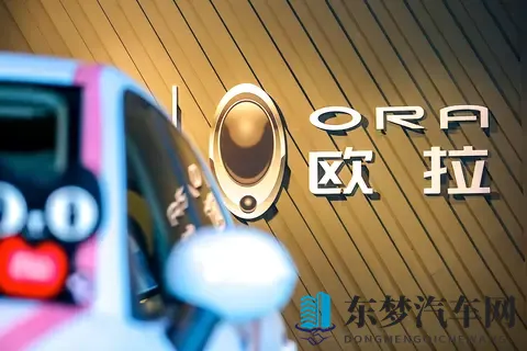 靠欧拉5这款纯电SUV，长城欧拉能不能翻盘？-3