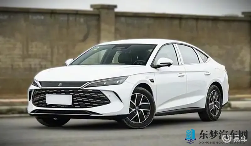 精品日本体内She精2：日本高清体内激情续集来袭-1