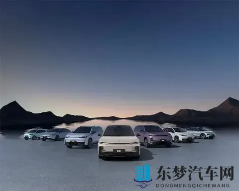 新能源车主喊贵，保险公司也头疼，这账到底怎么算的-2