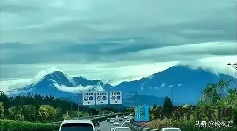 燃油车补贴突然回归,禁燃政策打脸了?官方数据藏着大秘密-2