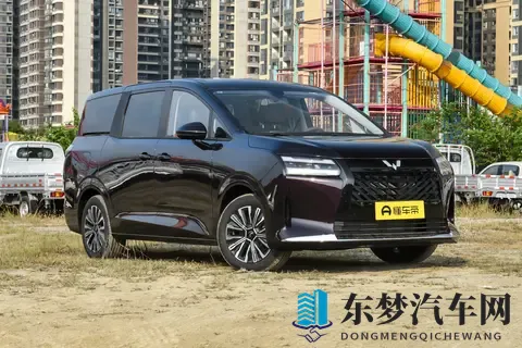 8 万内 7 座家用车：驾乘舒适还安全，值得选吗？-1
