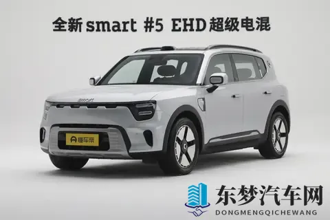 豪华与实用如何兼得？20万左右的预算，选smart精灵#5 EHD-2