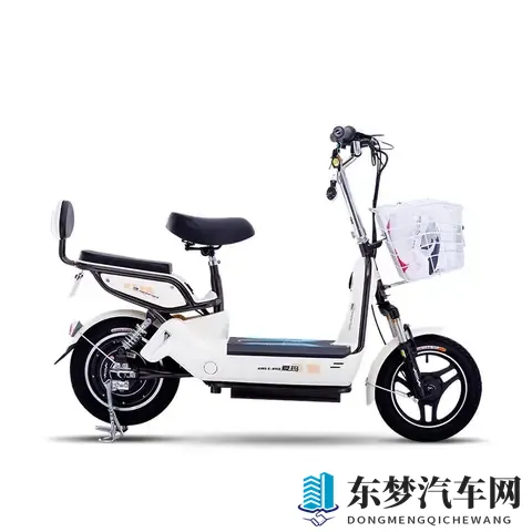 电动车“芯”较量：60伏与72伏，谁才是咱老百姓的“性价比之王”-1