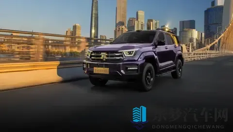 2498万元起,全新坦克400多动力齐发-3