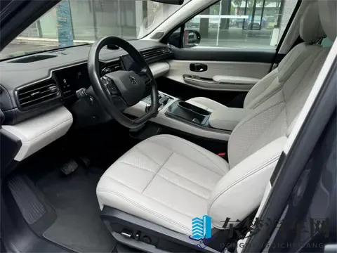 Nappa真皮普及背后：车企宣传的“文字游戏”该停了-2