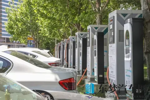 成人福利app导航：成人娱乐应用快速导航平台-3